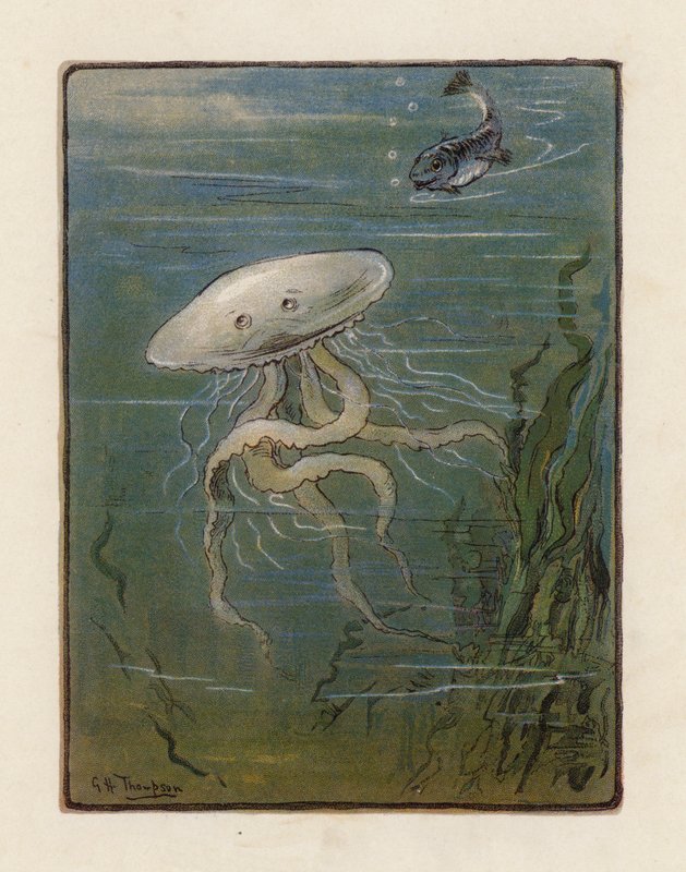 Jellyfish (färglitografi) av George Henry Thompson