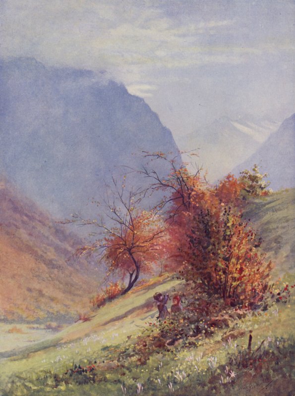 Höst i Alpland (färg litho) av George Jackson Flemwell