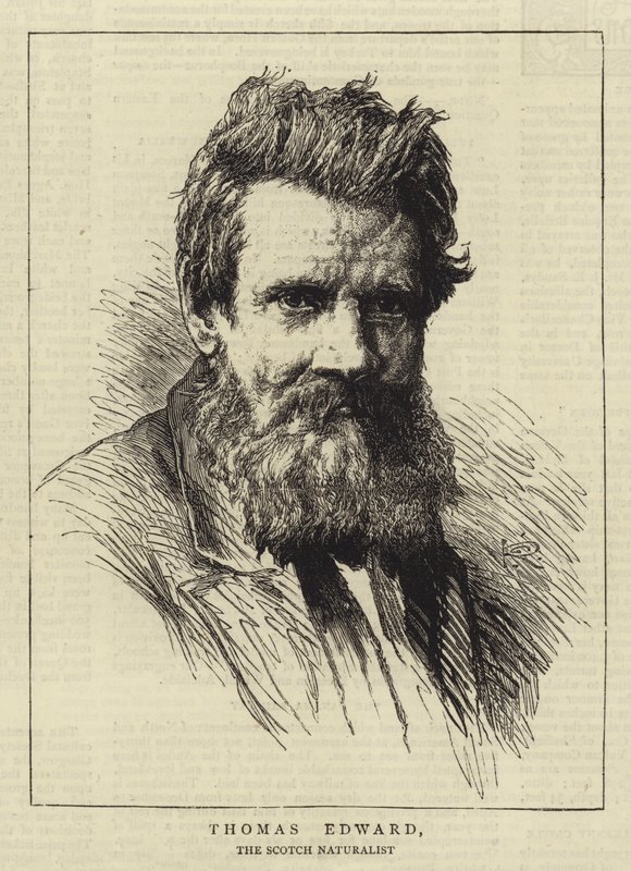 Thomas Edvard av George Reid