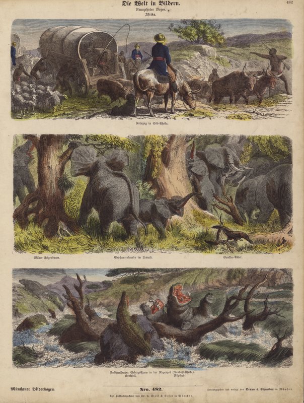 Afrika (färgad gravyr) av German School