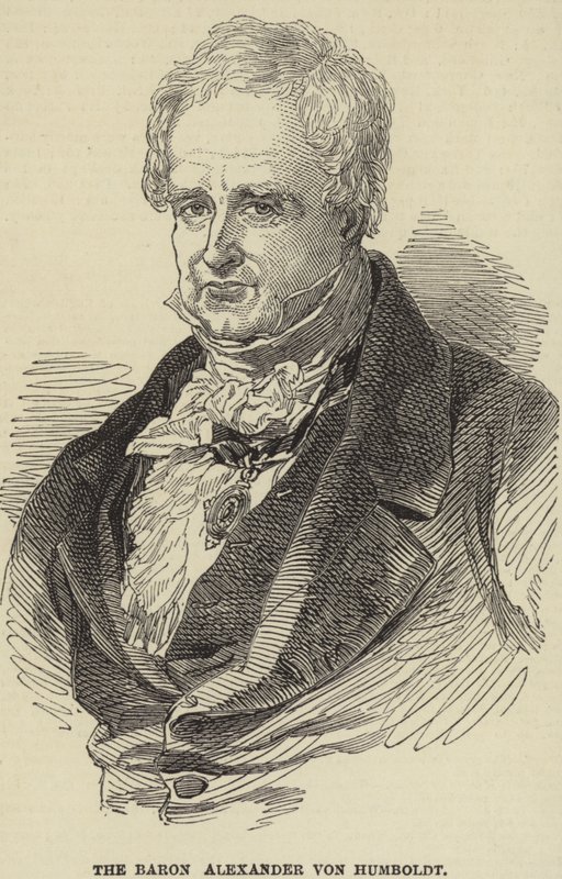 Alexander von Humboldt av German School