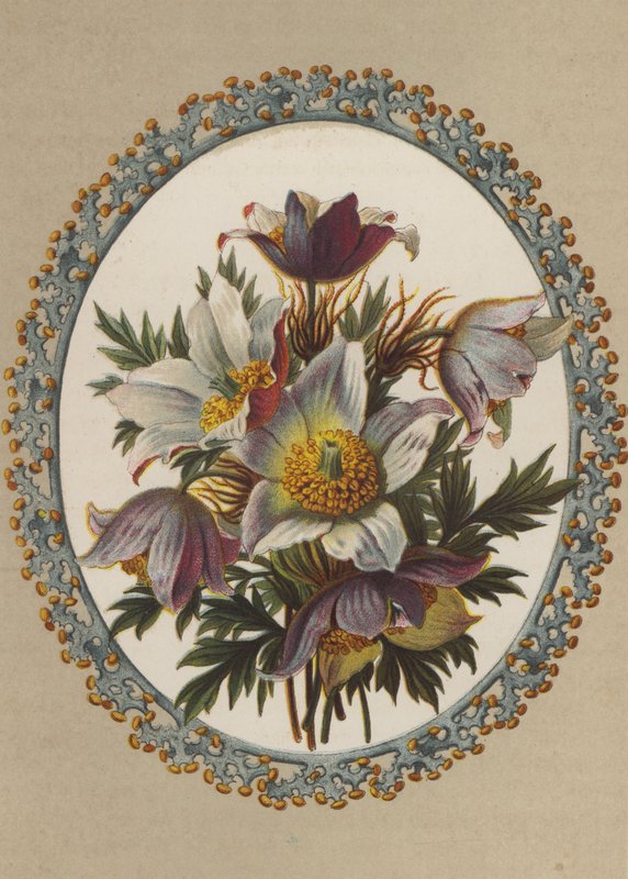 Anemoner (kromolit) av German School