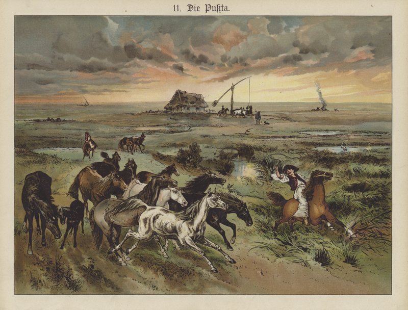 Die Pukta (färg litho) av German School