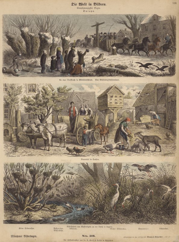 Europa (färgad gravyr) av German School