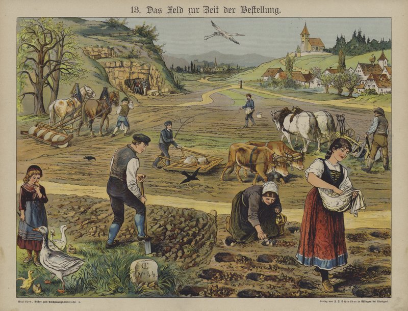 Jordbruk (färg litho) av German School