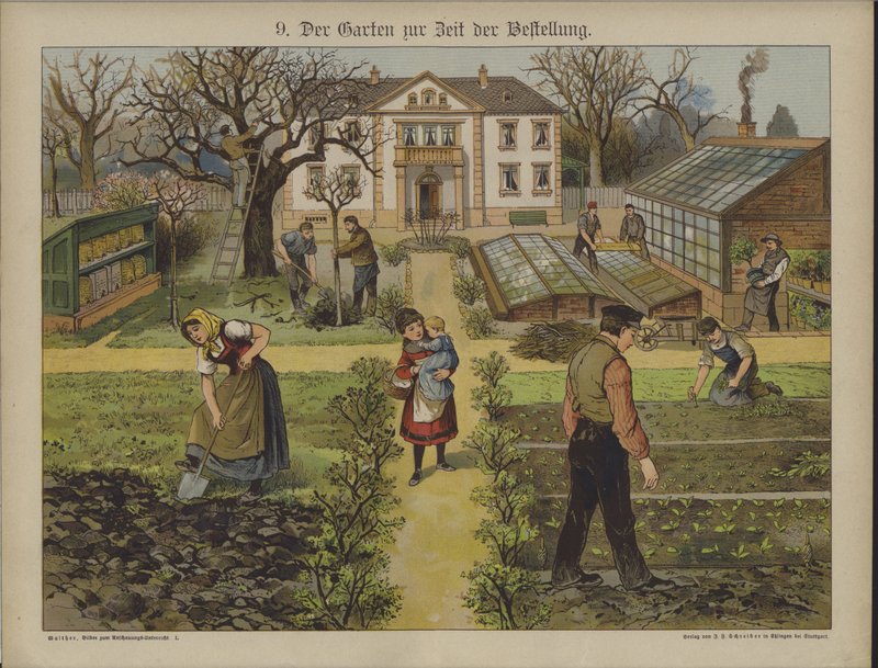 Trädgård (färg litho) av German School
