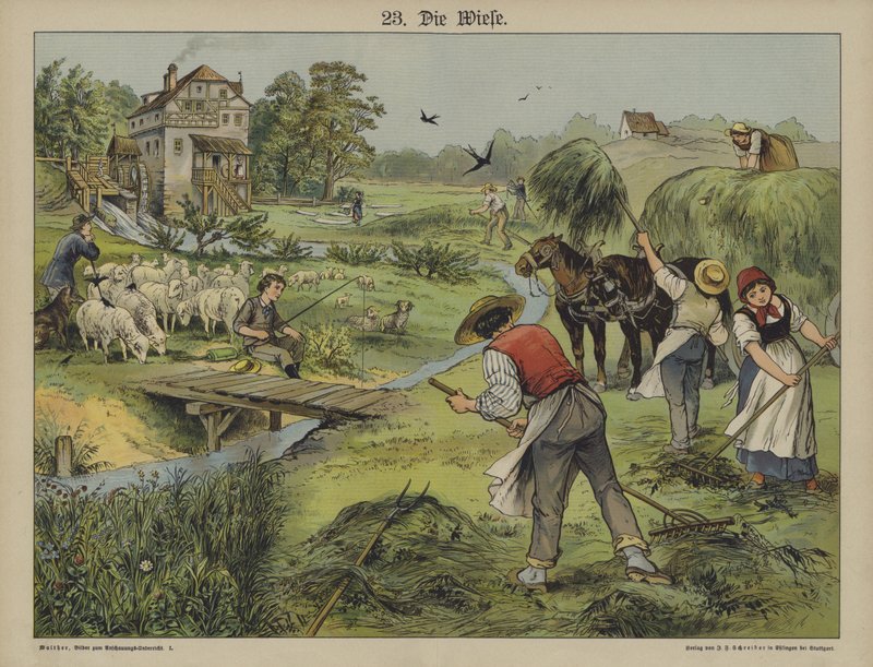 Gräs (färg litho) av German School