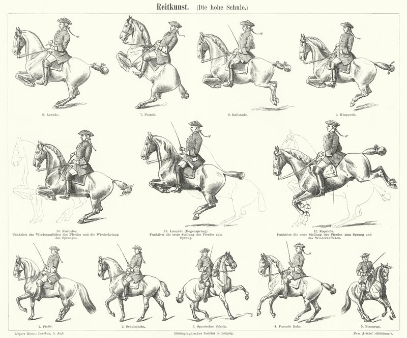 Horsemanship (gravyr) av German School