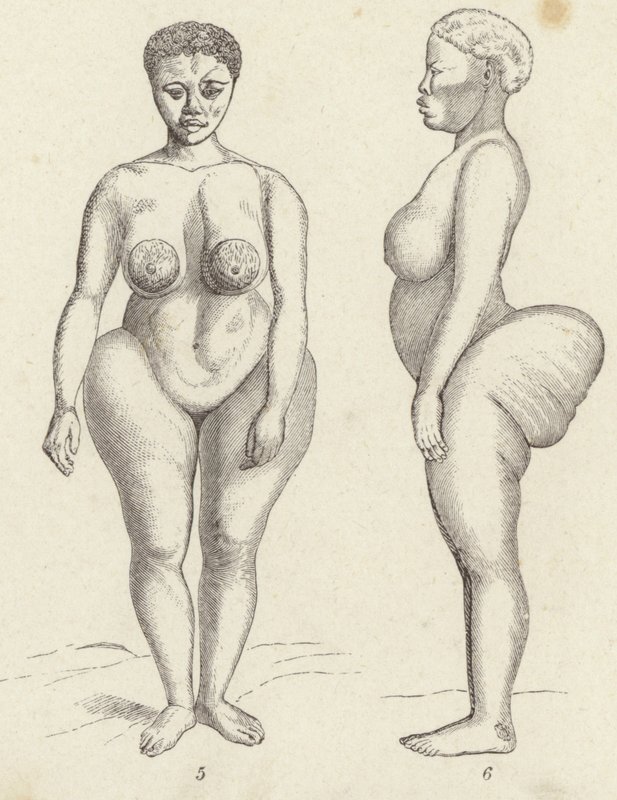 Hottentot Venus (gravyr) av German School