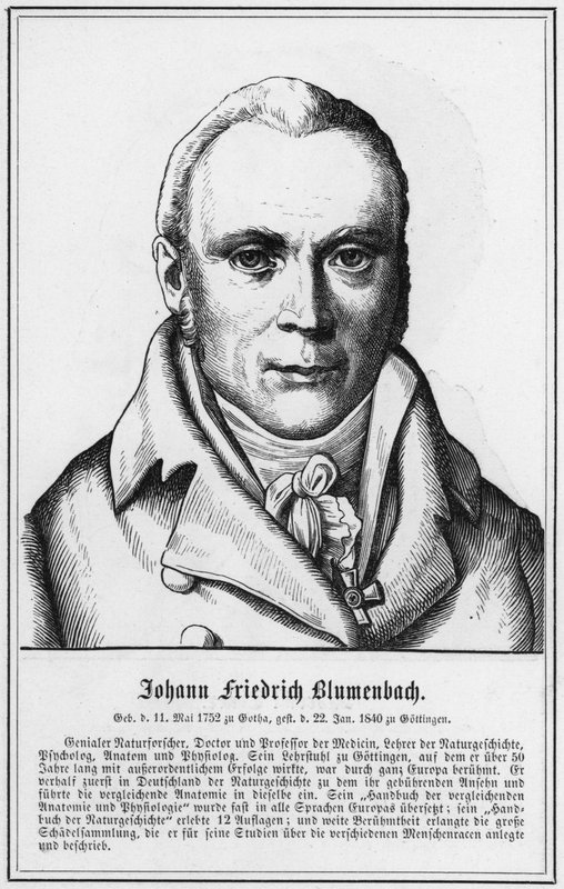 Johann Friedrich Blumenbach (gravyr) av German School