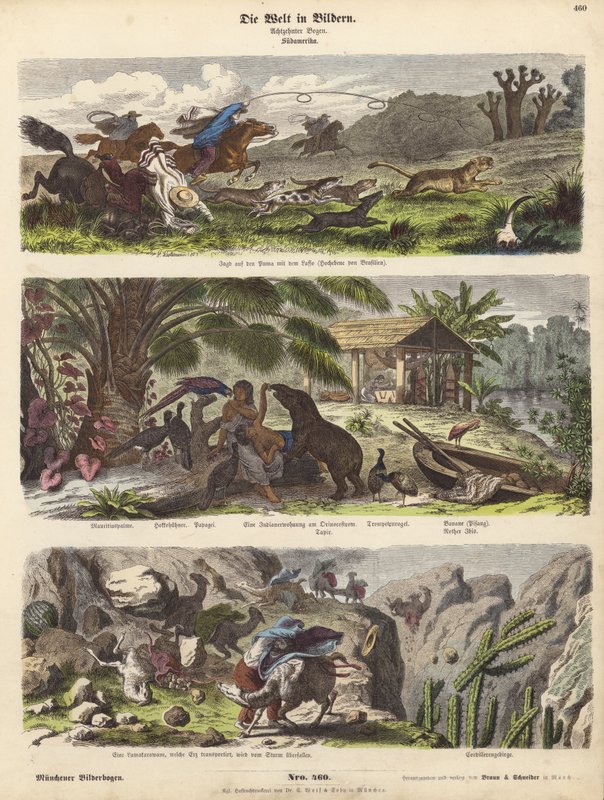 Sydamerika (färgad gravyr) av German School