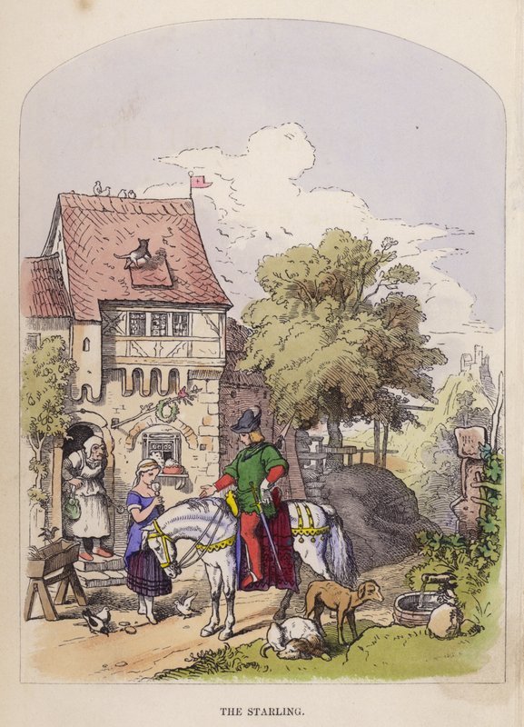 Staren (färg litho) av German School