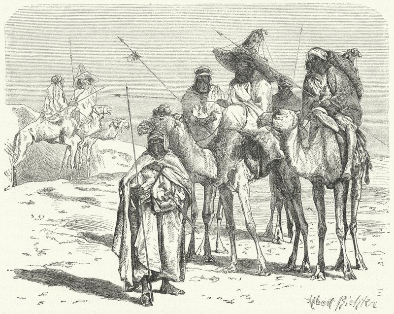 Tuaregs (gravyr) av German School