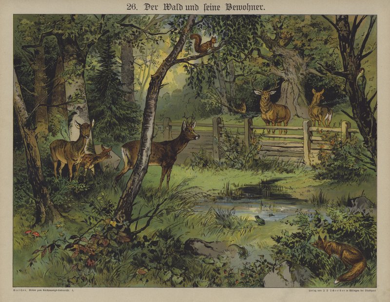 Vilda djur (färg litho) av German School