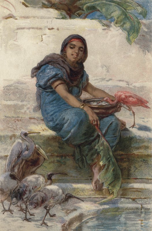 Mata de heliga fåglarna (färg litho) av Guido Bach