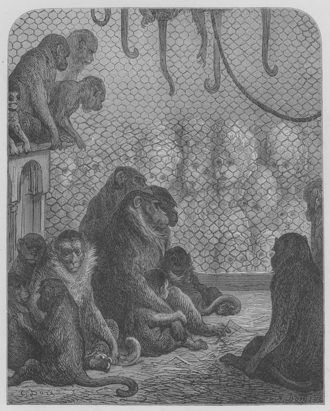 Zoologisk trädgård, aporna av Gustave after Dore