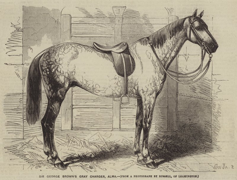 Sir George Browns Grey Charger, Alma av Gustave Janet