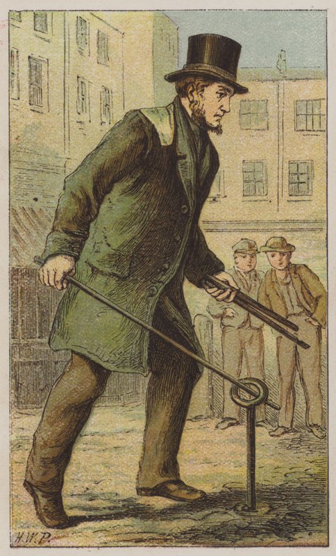 Turncock (färg litho) av H.W. (after) Petherick