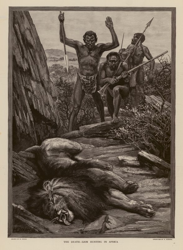 Lejonjakt i Afrika (gravyr) av H. Dixon
