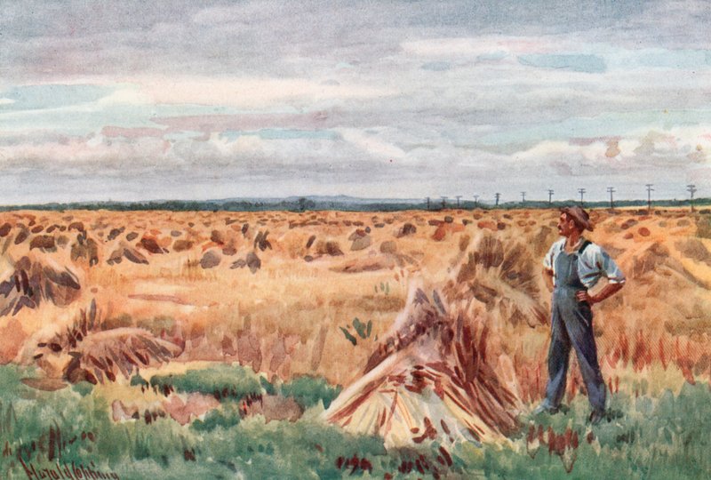 Längs Manitobas vetefält av Harold Copping