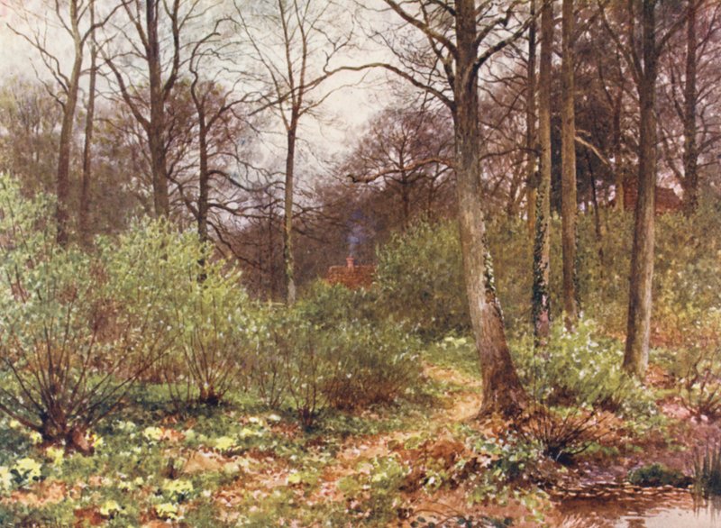 The Gamekeeper