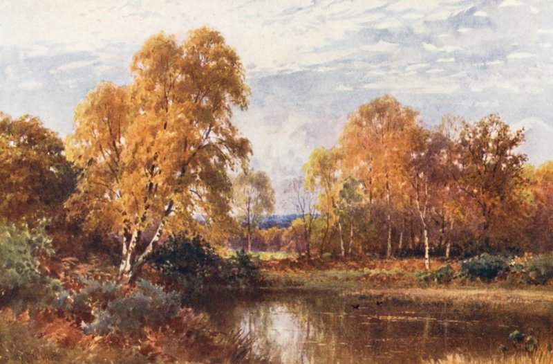 Det avtagande året (färglitografi) av Harold Sutton Palmer