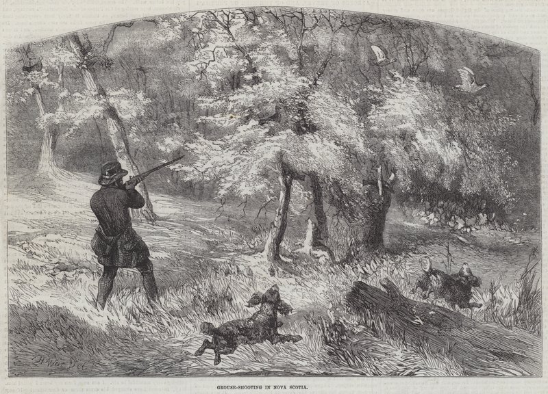 Grouse-skytte i Nova Scotia av Harrison William Weir
