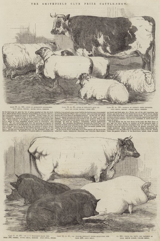 Smithfield Club Prize Cattle-show av Harrison William Weir