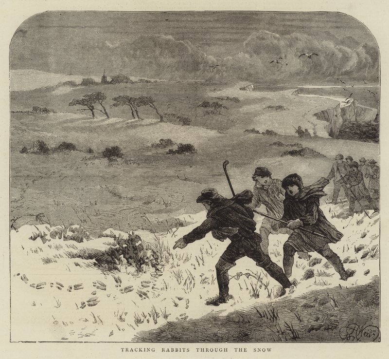 Spåra kaniner genom snön av Harrison William Weir