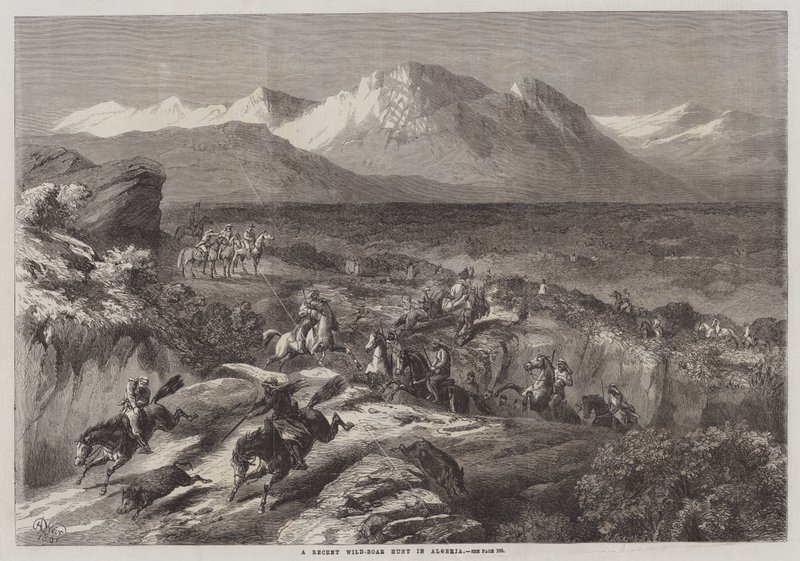 En nyligen genomförd vildsvinsjakt i Algeriet av Harrison William Weir
