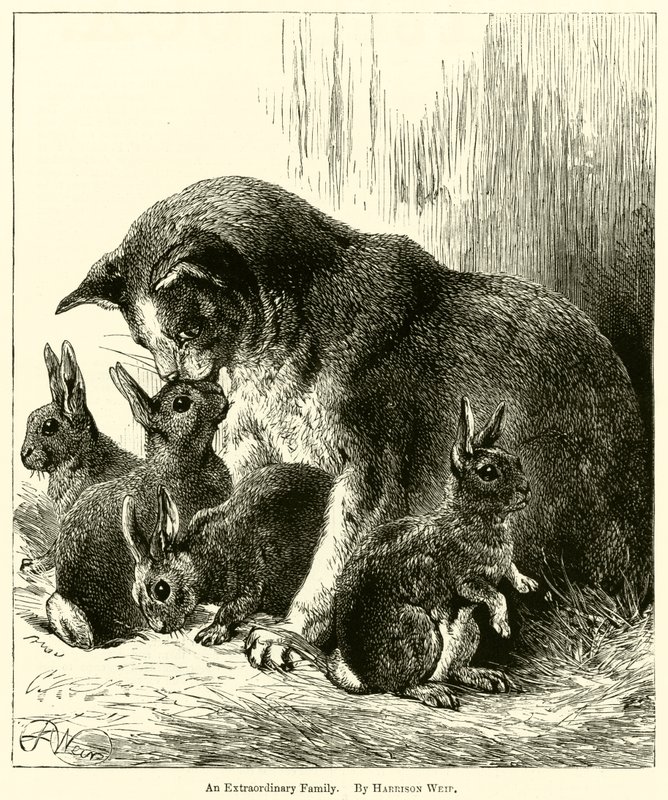 En extraordinär familj av Harrison William Weir