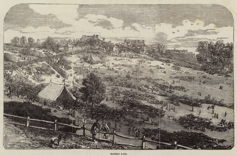 Barnet Fair av Harrison William Weir