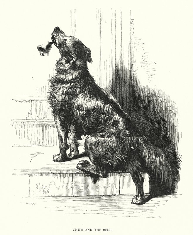Chum and the bell (gravyr) av Harrison William Weir