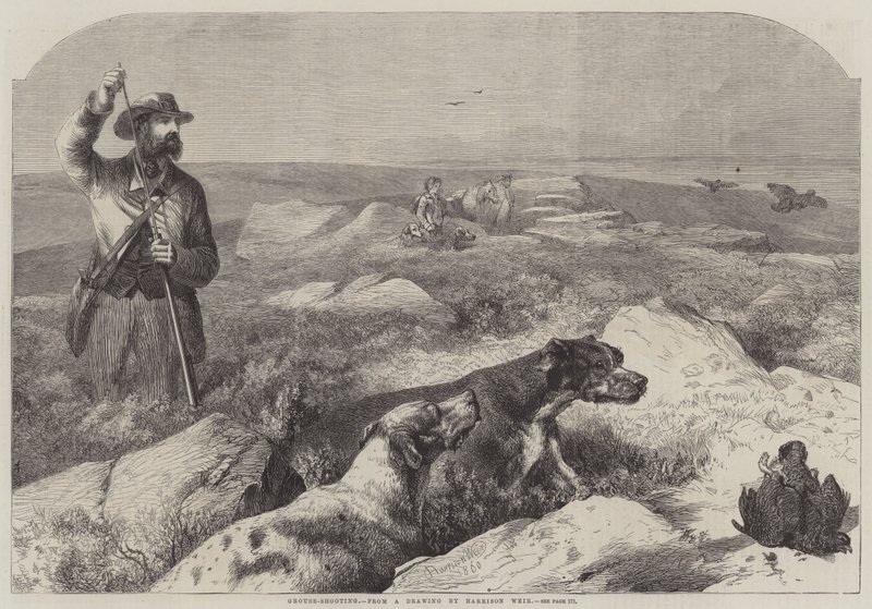 Grouse-Shooting (gravyr) av Harrison William Weir