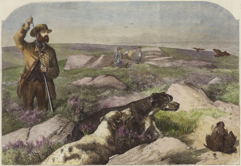 Skjutning av lund av Harrison William Weir