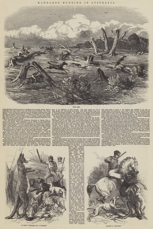Kängurujakt i Australien av Harrison William Weir