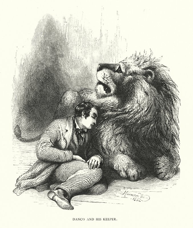 Lejon och hans skötare (gravyr) av Harrison William Weir