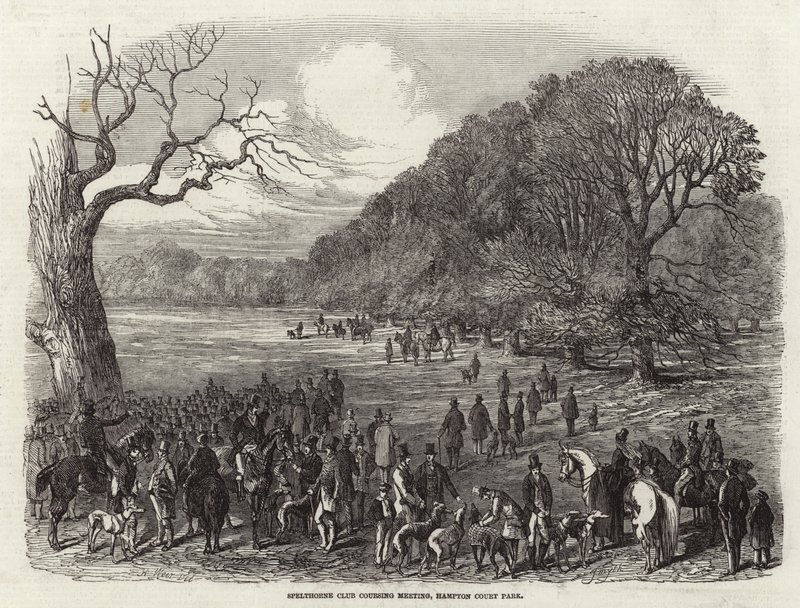 Spelthorne Club Coursing Meeting av Harrison William Weir