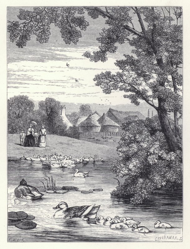 The Duck Pond (gravyr) av Harrison William Weir