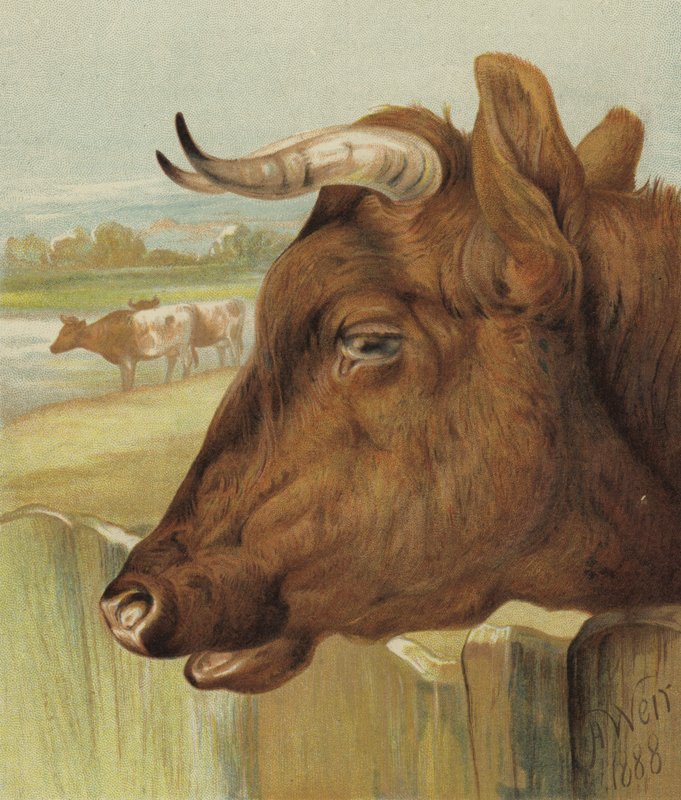 Barnkammarens vän (chromolitho) av Harrison William Weir