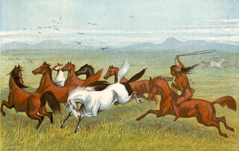 The Horse - "The firs" av Harrison William Weir