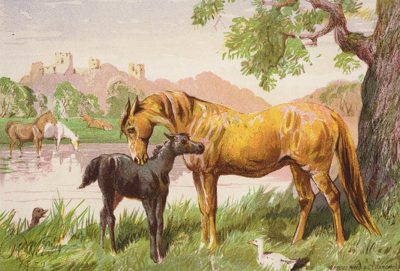 Slottsruinen (färglitografi) av Harrison William Weir