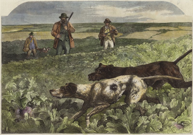 Den första september av Harrison William Weir