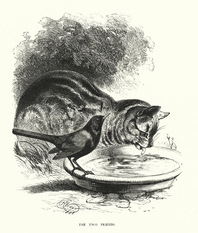 De två vännerna (gravyr) av Harrison William Weir