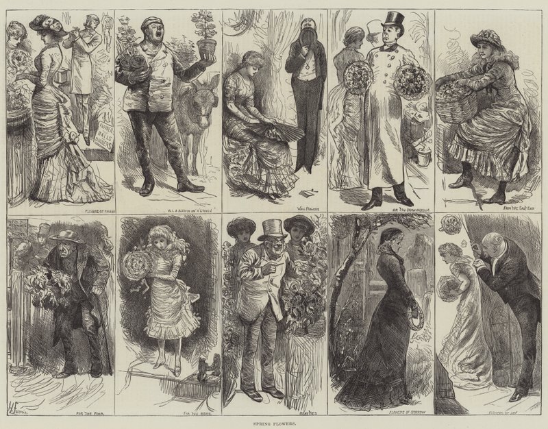 Vårblommor av Harry Furniss