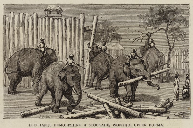 Elefanter som river en stockade, Wontho, övre Burma av Harry Hamilton Johnston