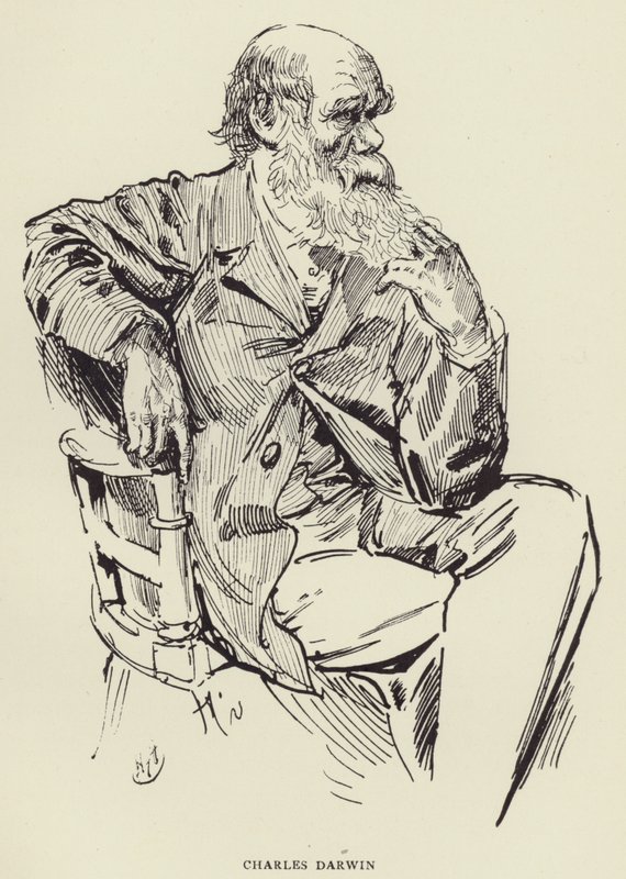 Charles Darwin av Harry Furniss