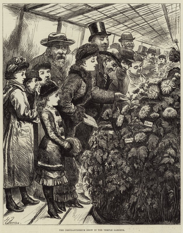 Krysantemumshowen i Temple Gardens av Harry Furniss