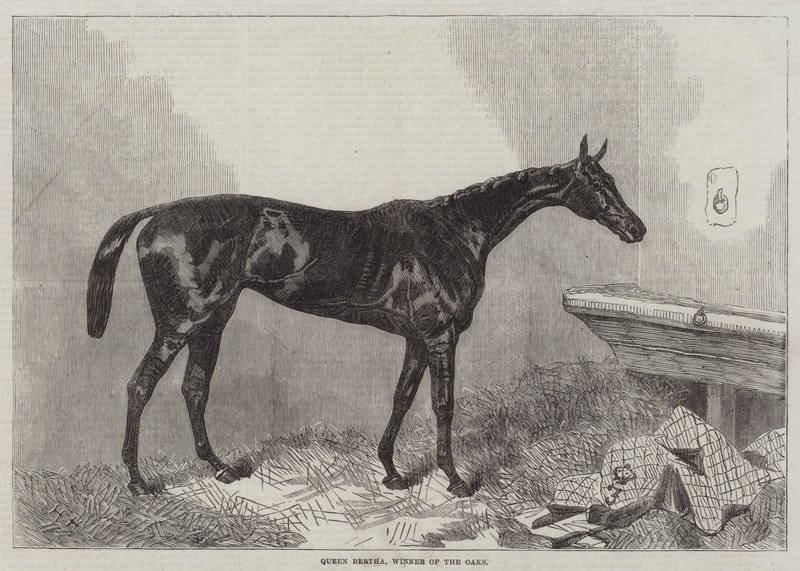 Queen Bertha, vinnare av ekipaget av Harry Hall