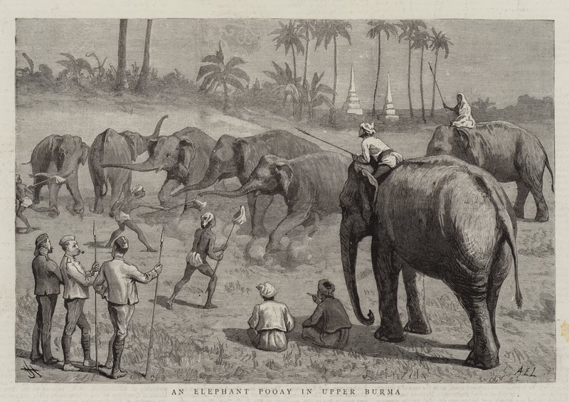 En elefantpuj i övre Burma av Harry Hamilton Johnston
